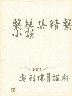 系统集精系统 小说