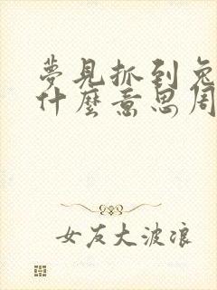 梦见抓到兔子是什么意思周公解梦