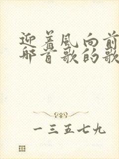 迎着风向前走是哪首歌的歌词