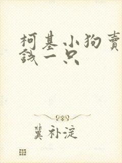 柯基小狗卖多少钱一只