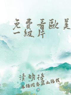 免费看欧美在线一级片