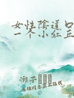 女性阴道口长了一个小红丘疹