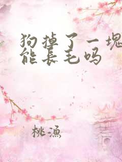 狗掉了一块皮还能长毛吗