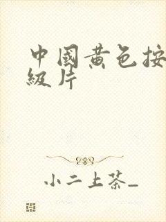 中国黄色按摩一级片