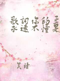 歌词你的柔情我永远不懂是什么歌