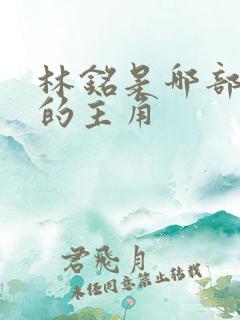 林铭是哪部小说的主角