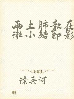 两上肺散在多发微小结节影