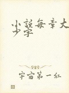 小说每章大概多少字