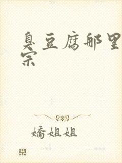 臭豆腐那里最正宗