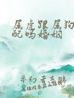 属虎跟属狗的相配吗婚姻