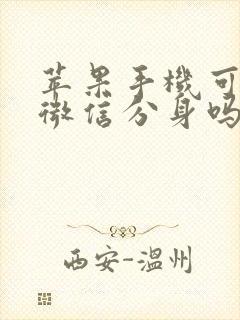 苹果手机可以下微信分身吗安全吗