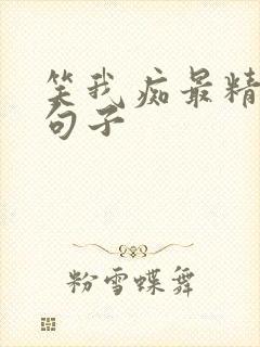 笑我痴最精辟的句子