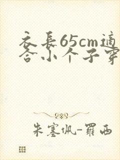 衣长65cm适合小个子穿吗