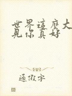 世界这么大,遇见你真好