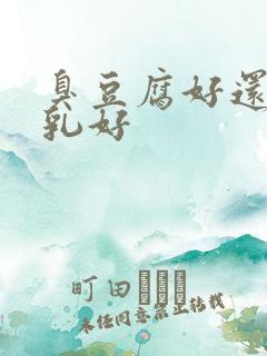 臭豆腐好还是腐乳好