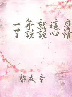 一年就这么过去了说说心情