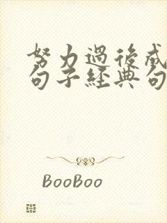 努力过后成功的句子经典句子