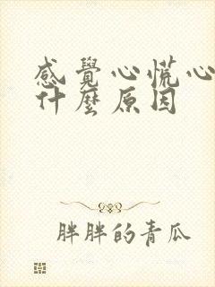 感觉心慌心悸是什么原因