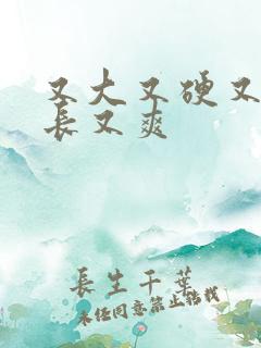 又大又硬又粗又长又爽