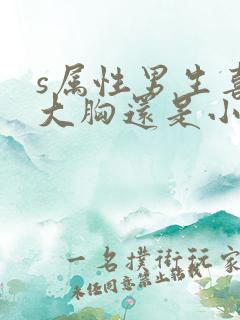 s属性男生喜欢大胸还是小胸