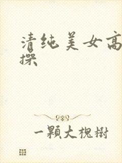 清纯美女高潮爆操