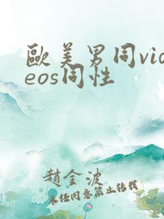 欧美男同videos同性