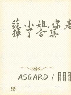 苏小姐,你老公掉了合集