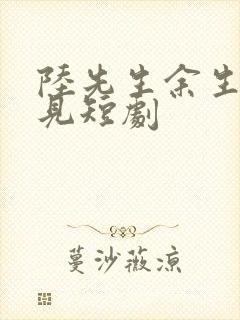 陆先生余生不相见短剧