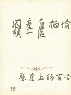 国产自拍偷拍视频一区