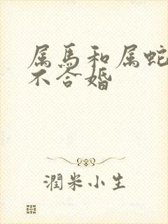 属马和属蛇的合不合婚