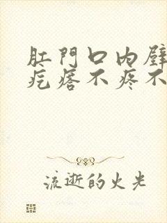 肛门口内壁有硬疙瘩不疼不痒