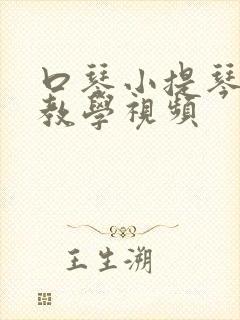 口琴小提琴奏法教学视频