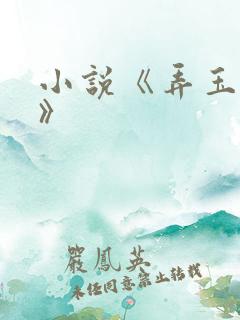 小说《弄玉偷香》