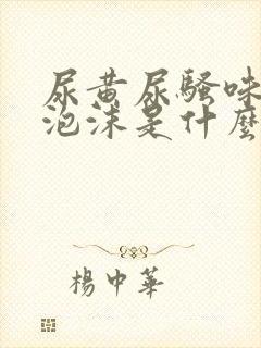 尿黄尿骚味重有泡沫是什么原因