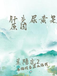 肝炎尿黄是什么原因