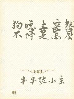 狗晚上突然叫个不停是怎么回事