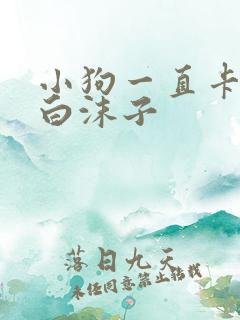 小狗一直卡痰吐白沫子