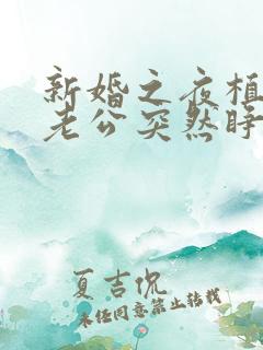 新婚之夜植物人老公突然睁开了眼