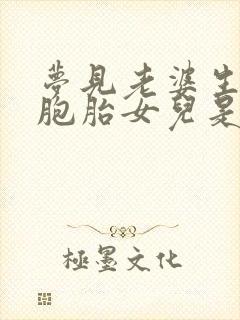 梦见老婆生了双胞胎女儿是什么意思