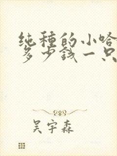 纯种的小哈士奇多少钱一只