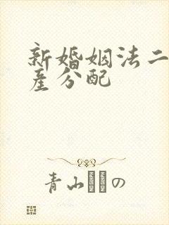 新婚姻法二婚财产分配