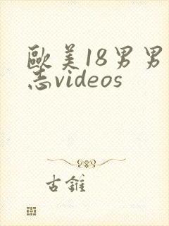 欧美18男男同志videos