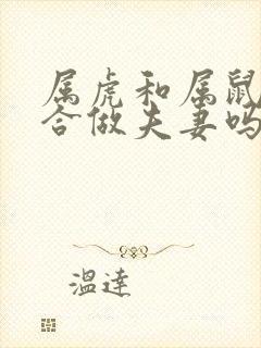 属虎和属鼠的适合做夫妻吗