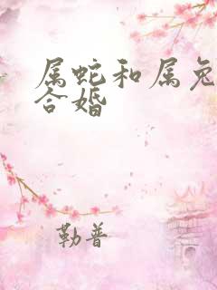 属蛇和属兔合不合婚