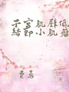 子宫肌壁低回声结节小肌瘤