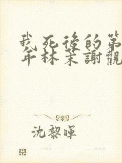 我死后的第拾壹年林茉谢观砚