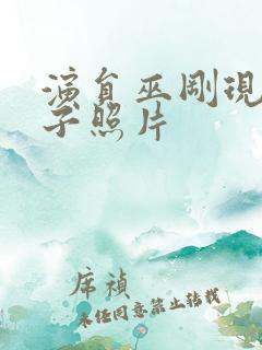 演员巫刚现任妻子照片