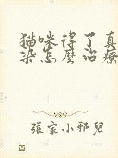 猫咪得了真菌感染怎么治疗