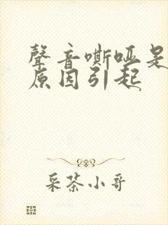 声音嘶哑是什么原因引起