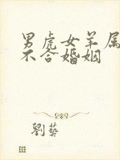 男虎女羊属相合不合婚姻